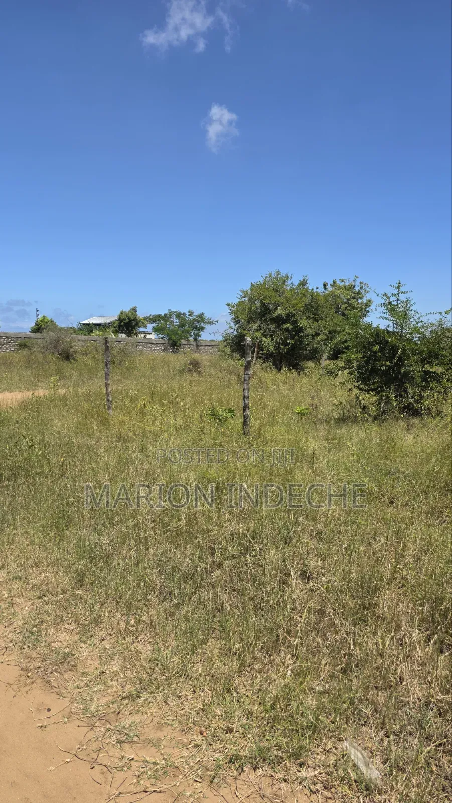 Prime 50x100ft Plot for Sale in Kilifi in Mnarani