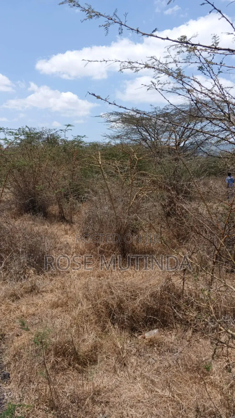 50 by 100 in Machakod in Junction