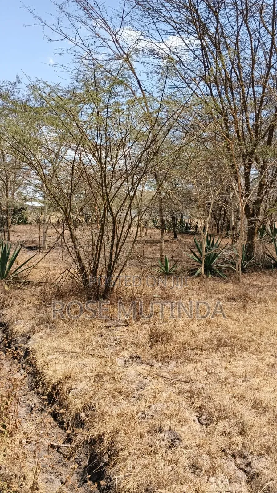 50 by 100 in Machakod in Junction