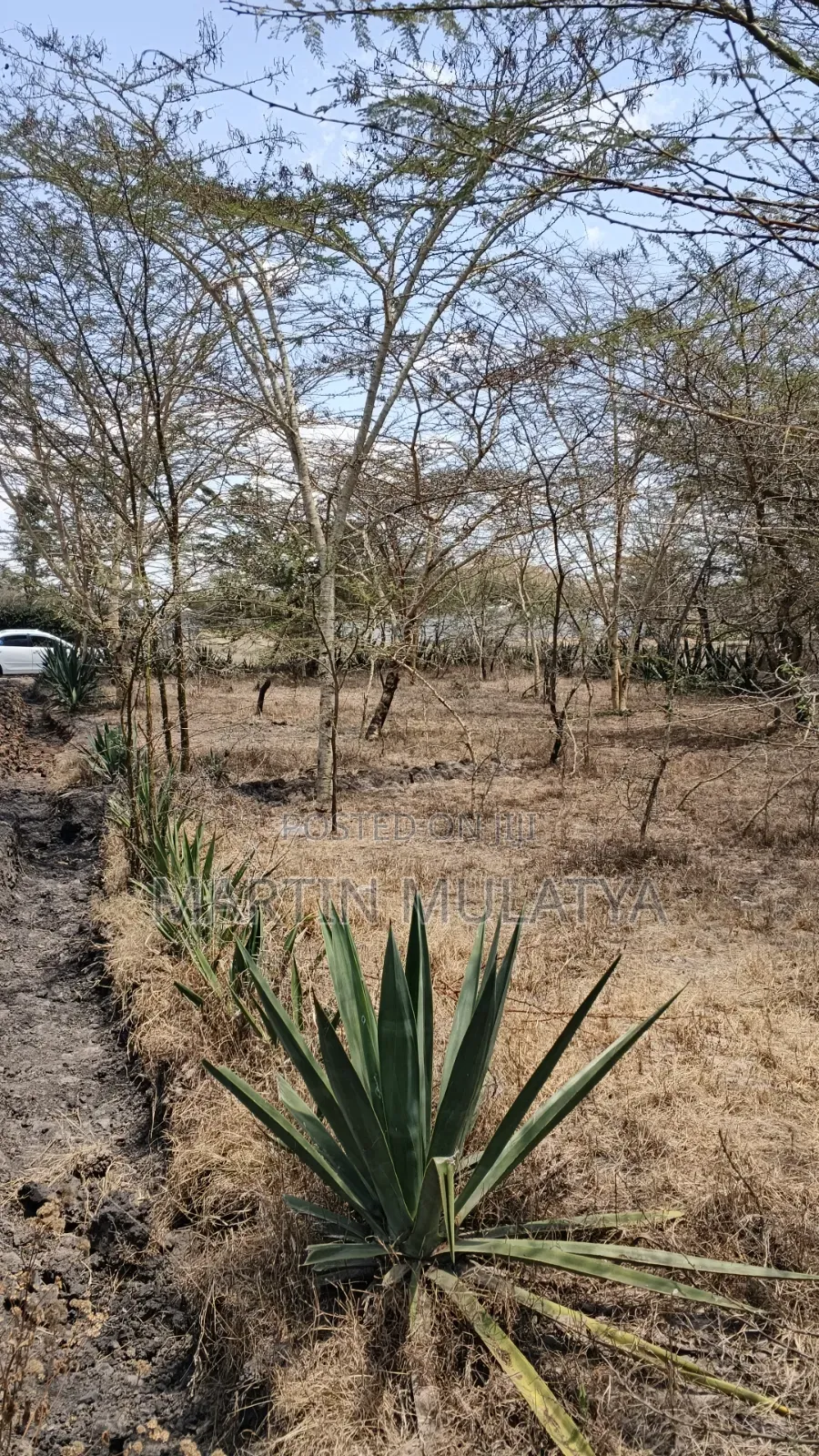 50by100 on Sell at Miwongoni in Junction
