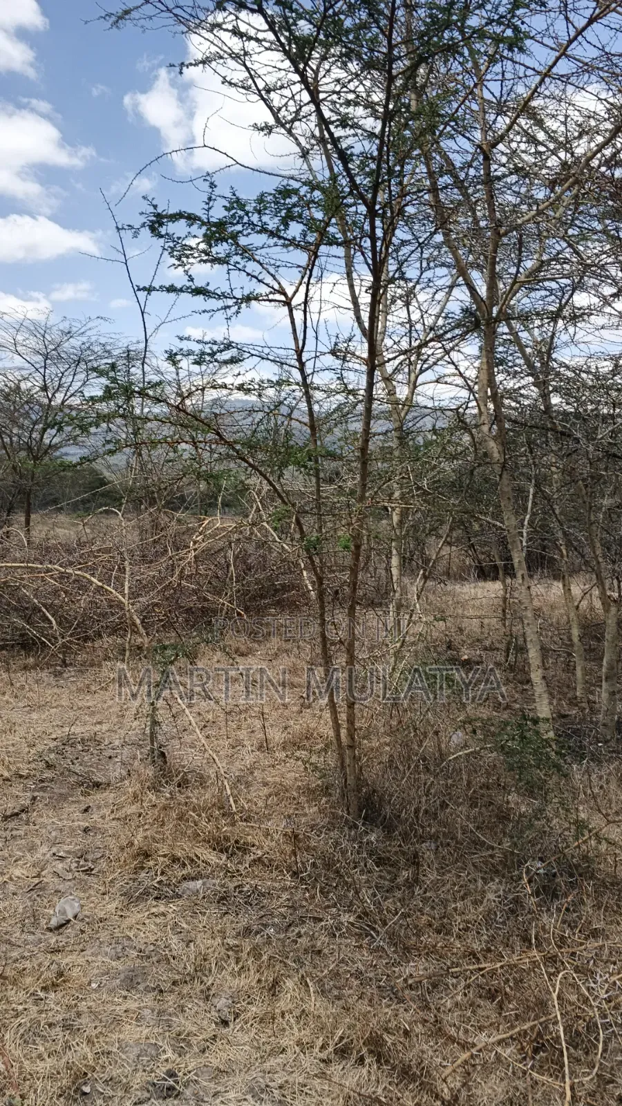 50by100 on Sell at Miwongoni in Junction