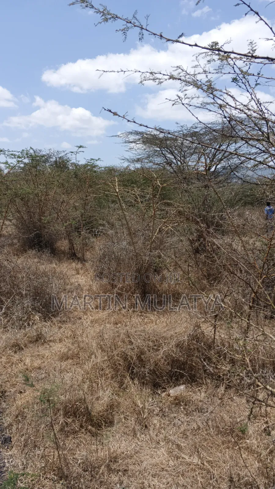 50by100 on Sell at Miwongoni in Junction