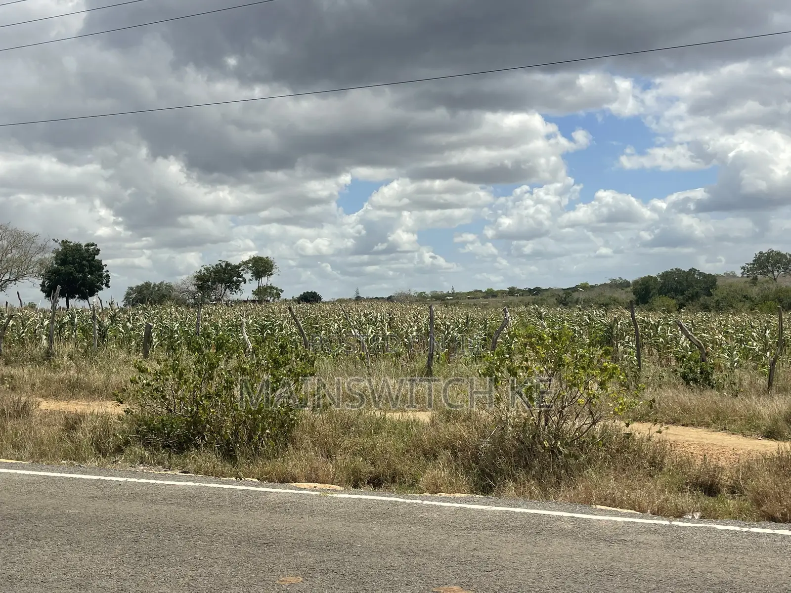 1.5 Acres for Sale Touching Tarmac Road in Marafa in Marafa