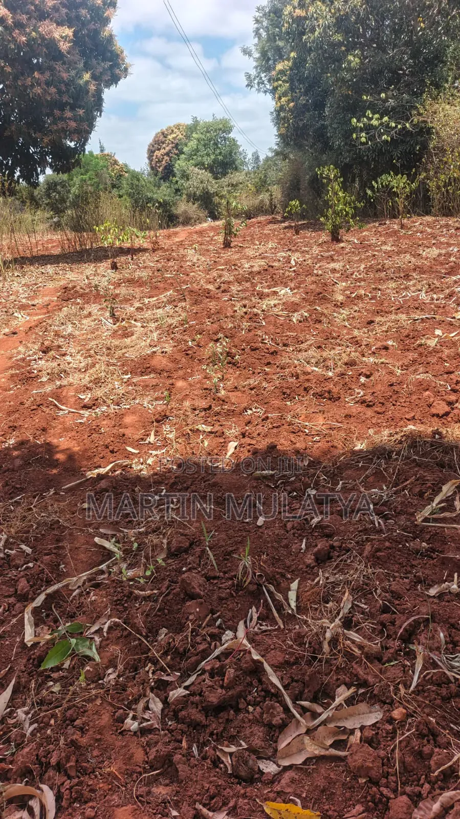 1 Acre for Sell Segani in Tala