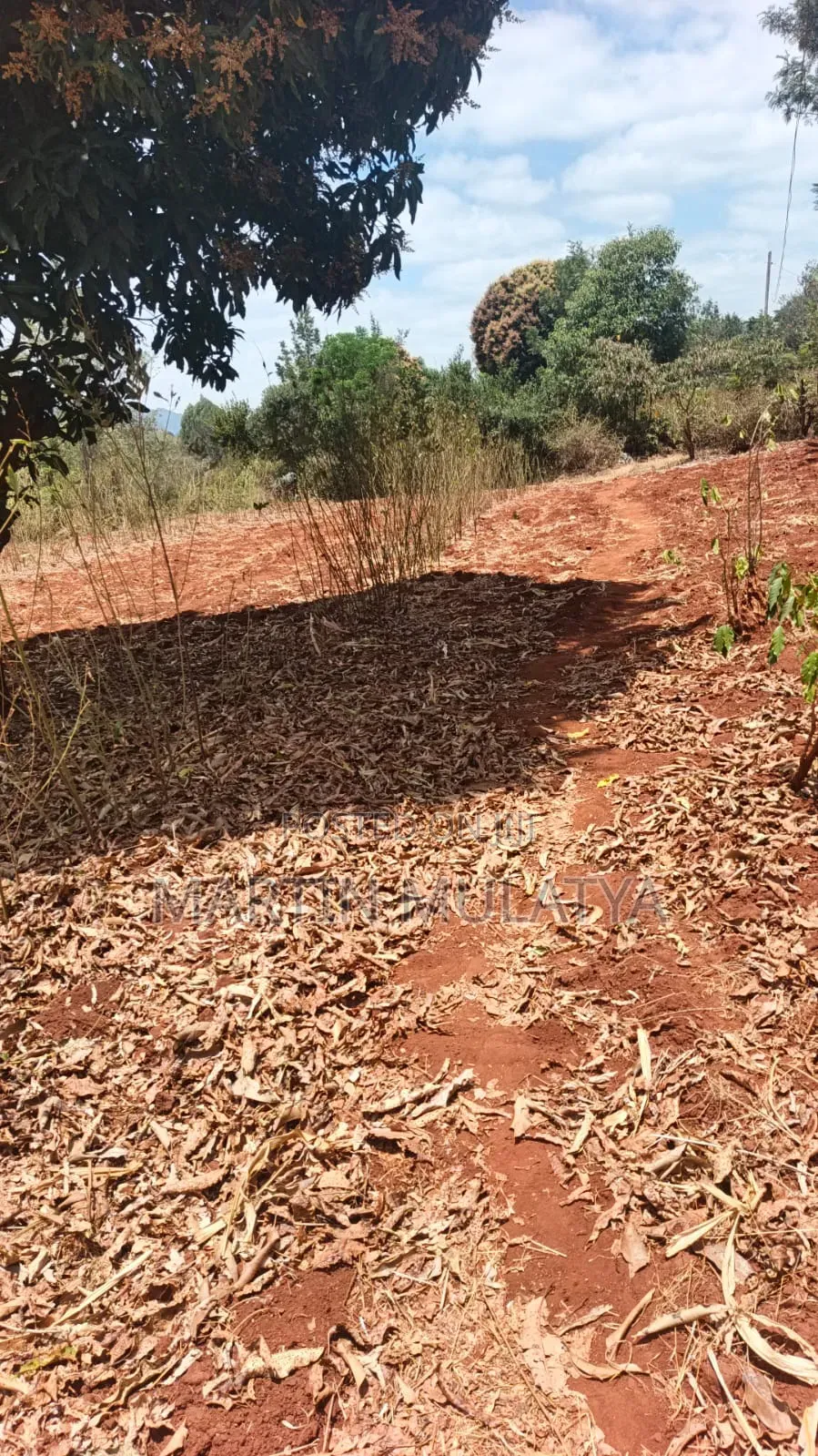 1 Acre for Sell Segani in Tala