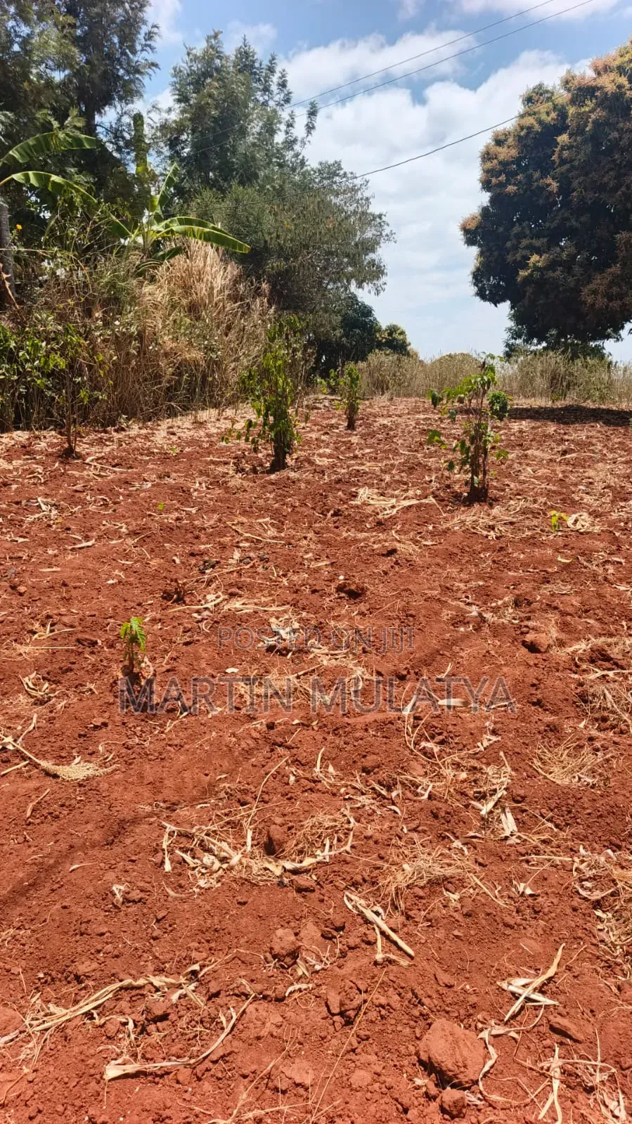 1 Acre for Sell Segani in Tala