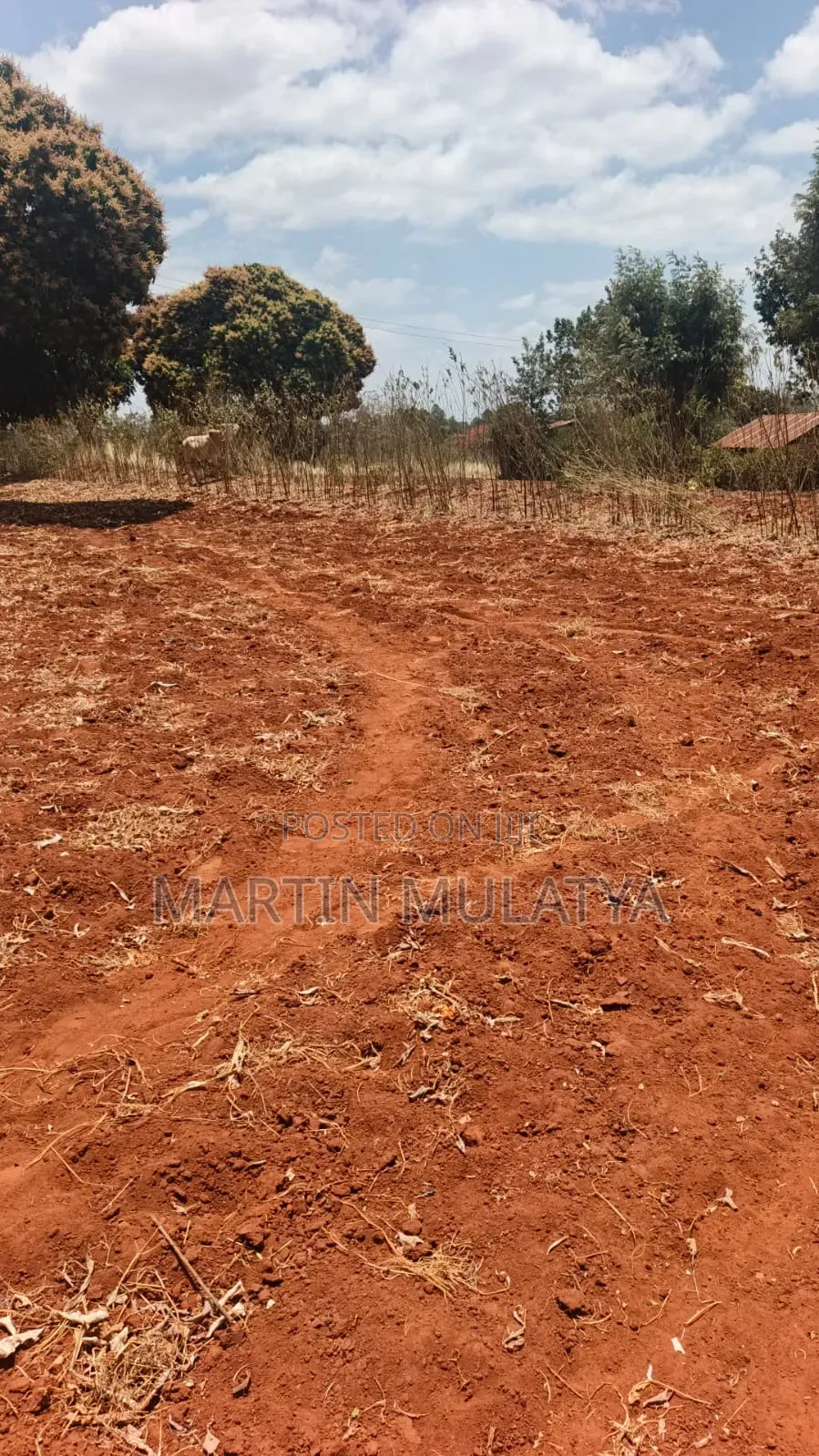 1 Acre for Sell Segani in Tala