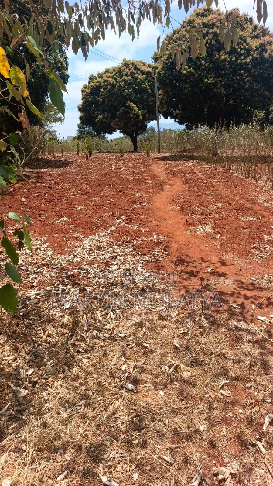1 Acre for Sell Segani in Tala