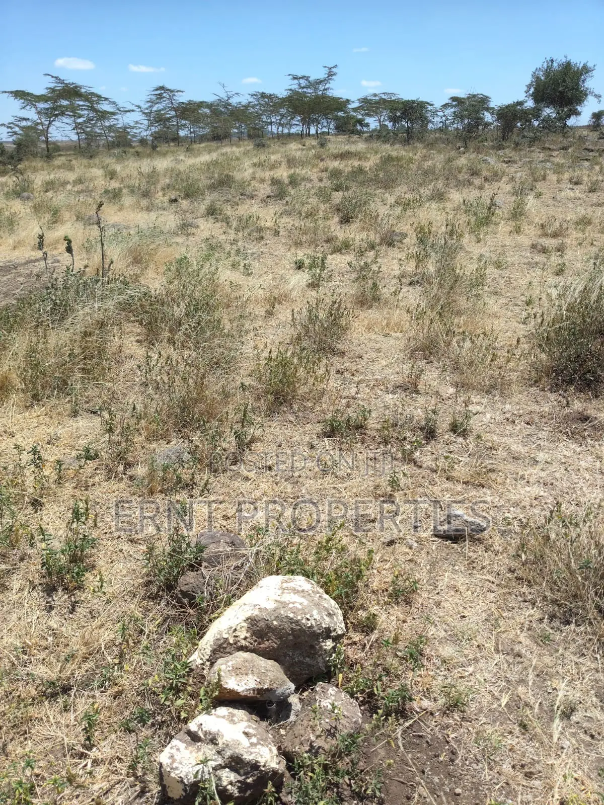 Prime 10-Acre Land for Sale | Old Choro Onyore in Kajiado