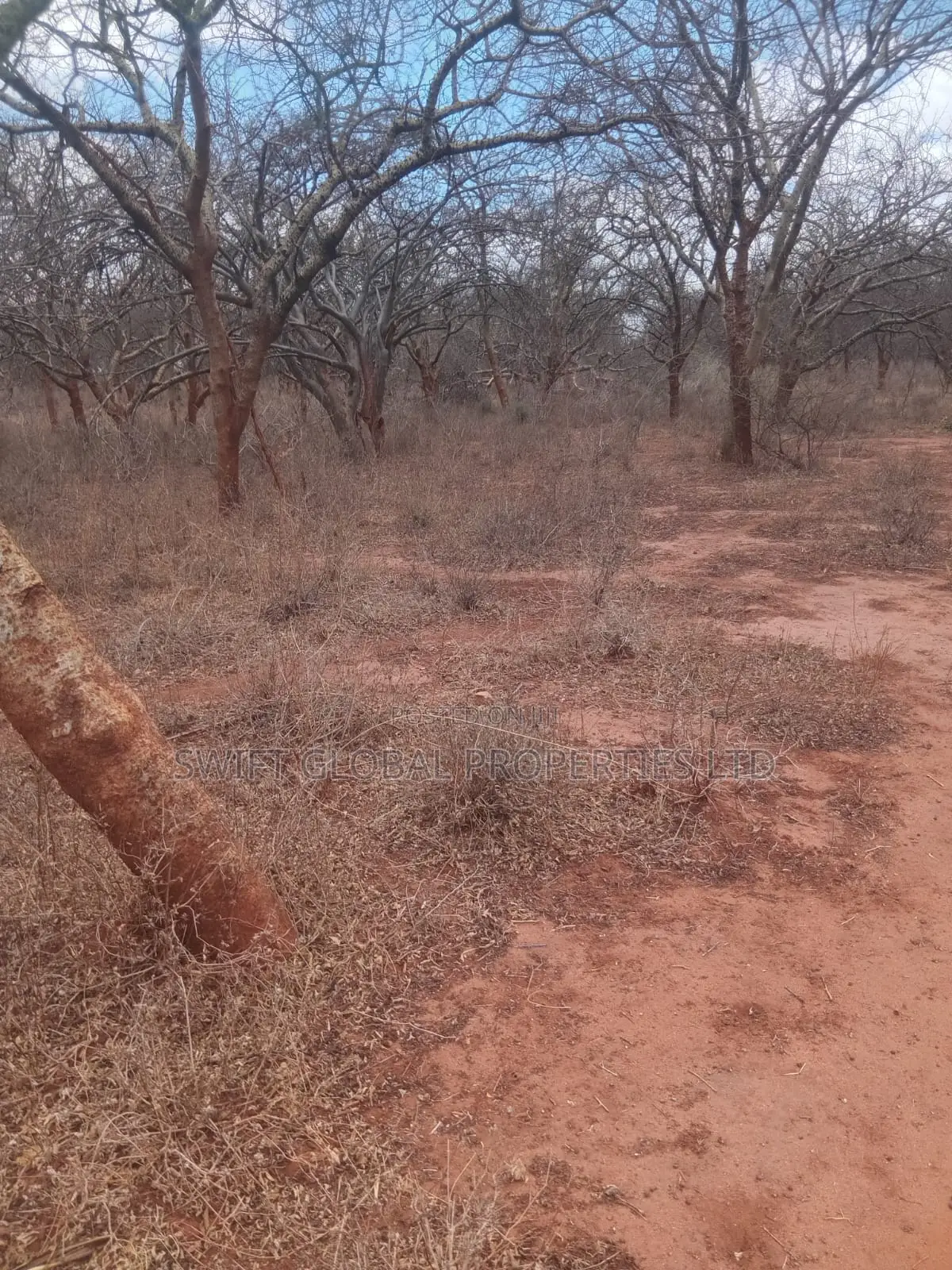 50 Acres Prime Land Near Athi River in Makueni Kambu Is for Sale in Mtito Andei