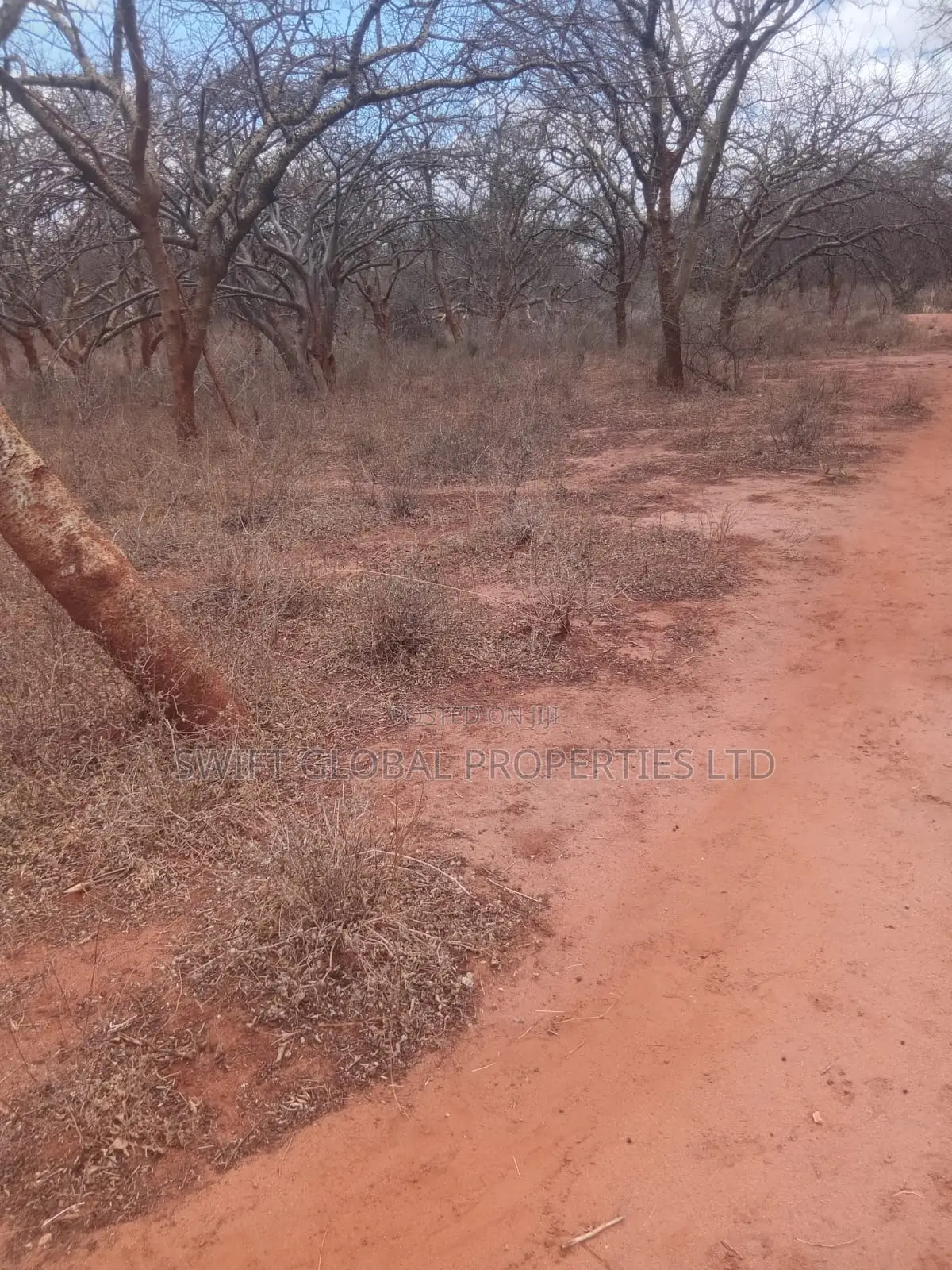 50 Acres Prime Land Near Athi River in Makueni Kambu Is for Sale in Mtito Andei