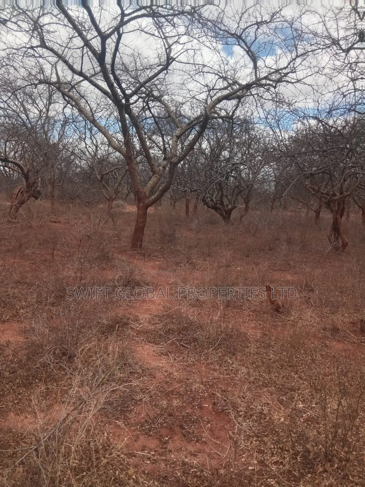50 Acres Prime Land Near Athi River in Makueni Kambu Is for Sale in Mtito Andei
