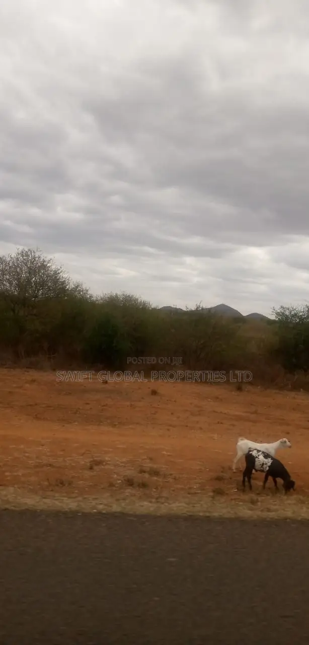 20 Prime Acres Touching Mombasa-Nairobi Highway in Masimba Is for Sale in Kenyawa-Poka