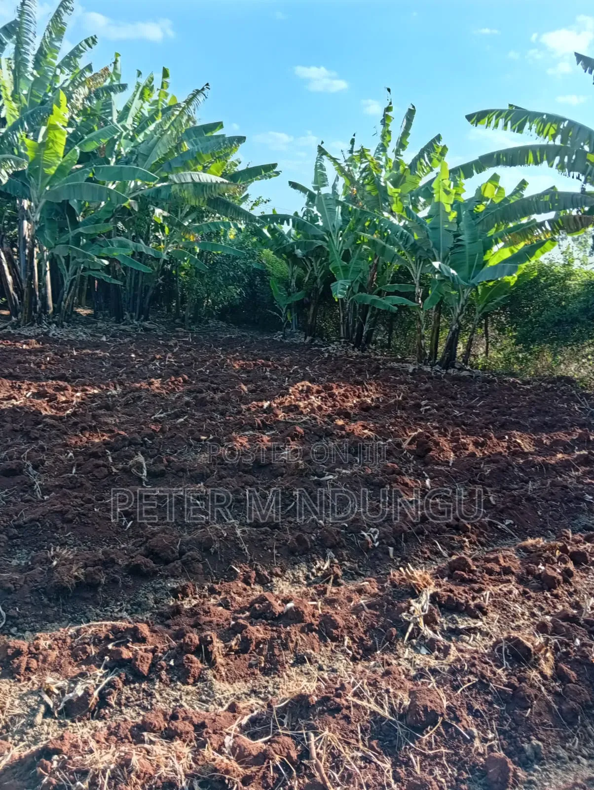 Golden Palm Gated Community Estate-Located Off Kiambu Road in Thindigua/Kasarini