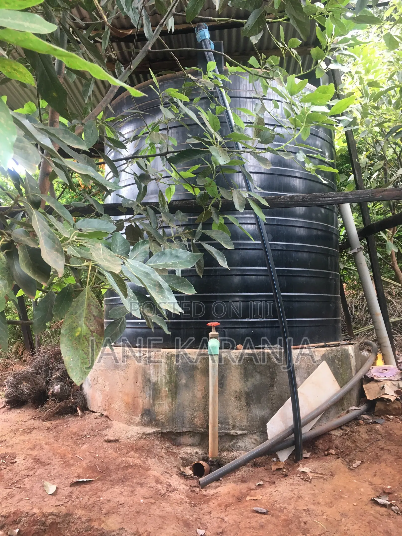 Muranga 1 Acre With Mature Hass 140 Trees in Murang'a