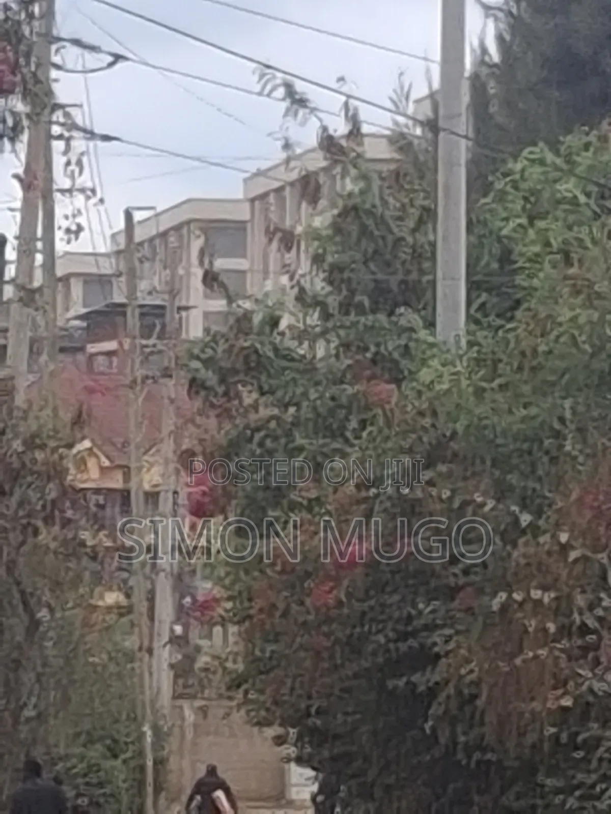 Ruiru Gitambaya Prime 50x100 Corner Plot Opposite Affordable Houses in Gitothua