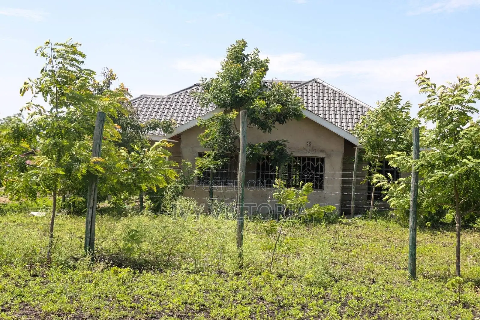 50 by 100 Mwea Plots in Mwea