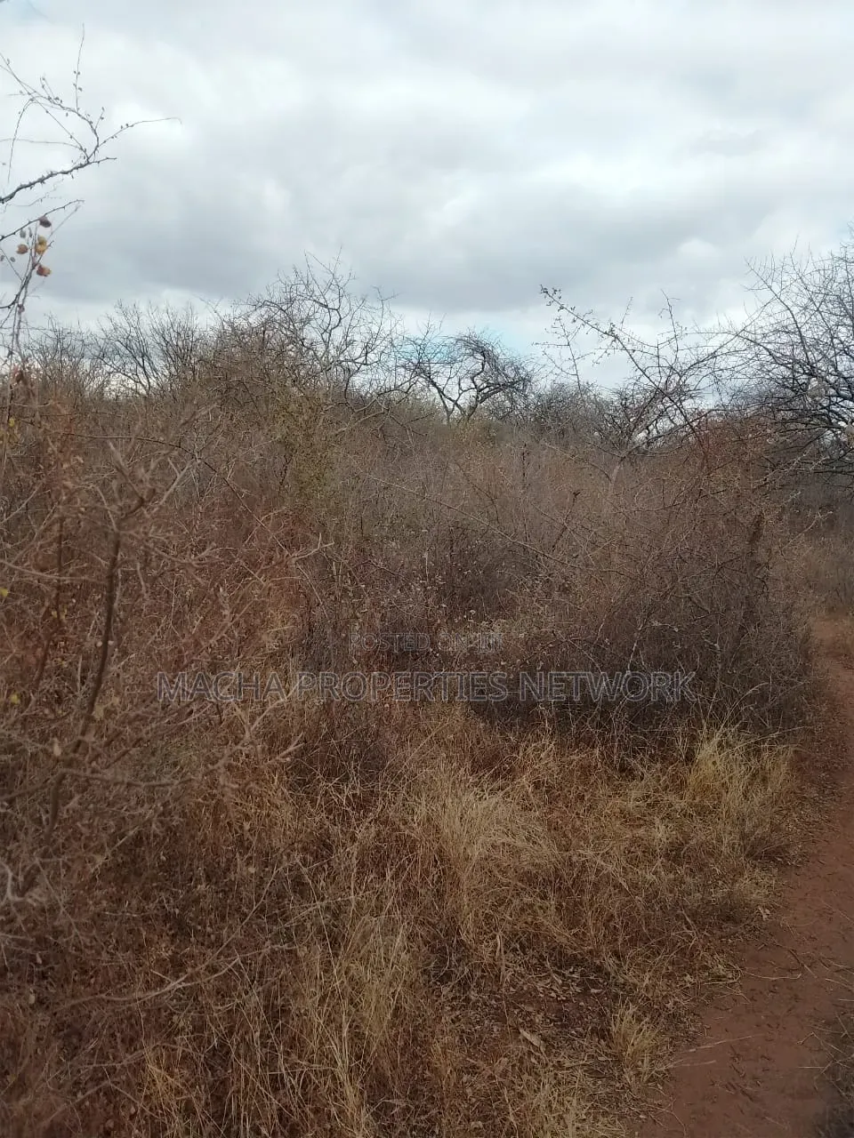 20 Acres Mutha -Kitui County in Mutomo
