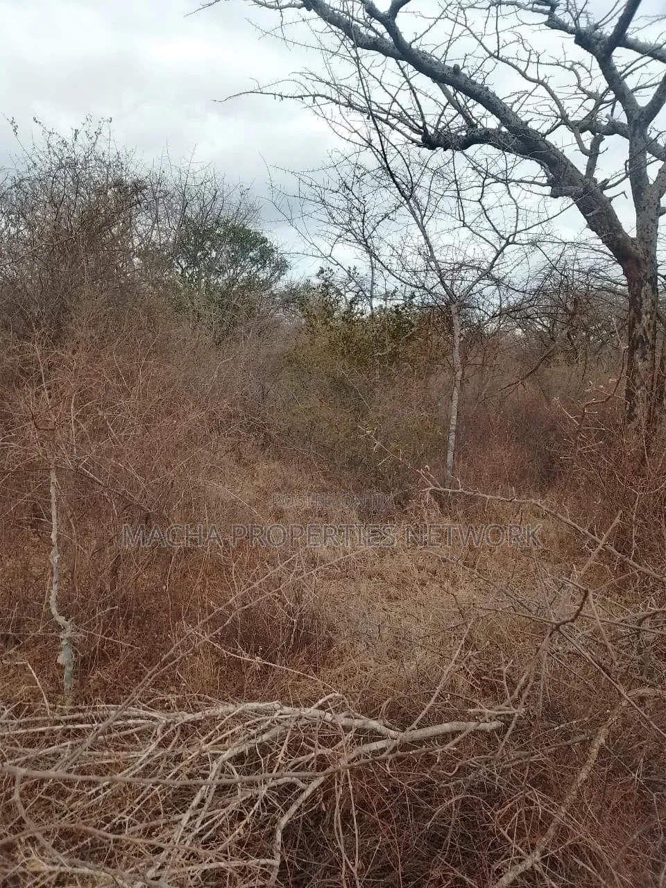 20 Acres Mutha -Kitui County in Mutomo