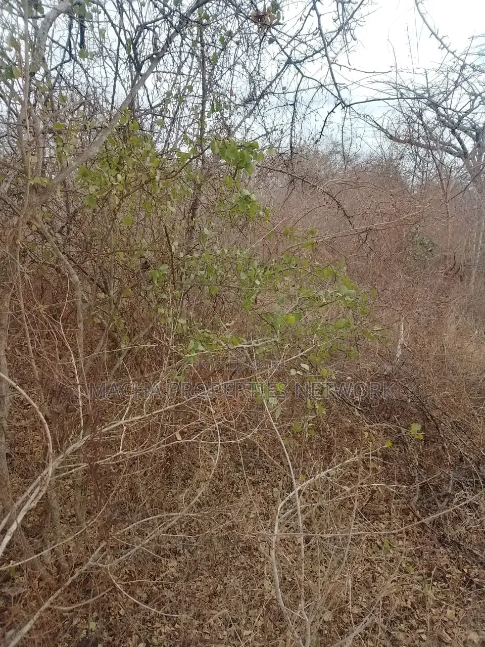 20 Acres Mutha -Kitui County in Mutomo