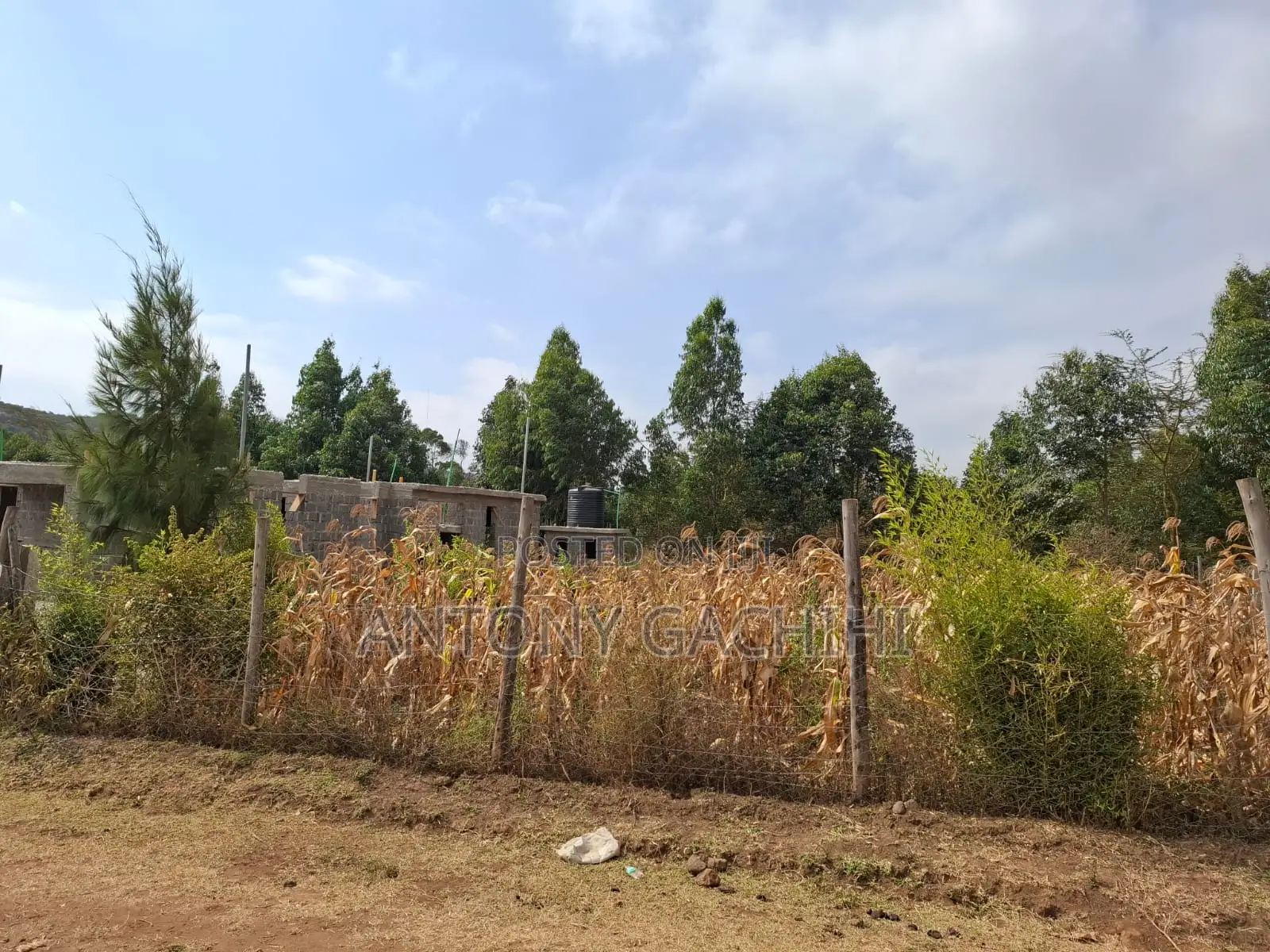 Land for Sale in Ndeiya