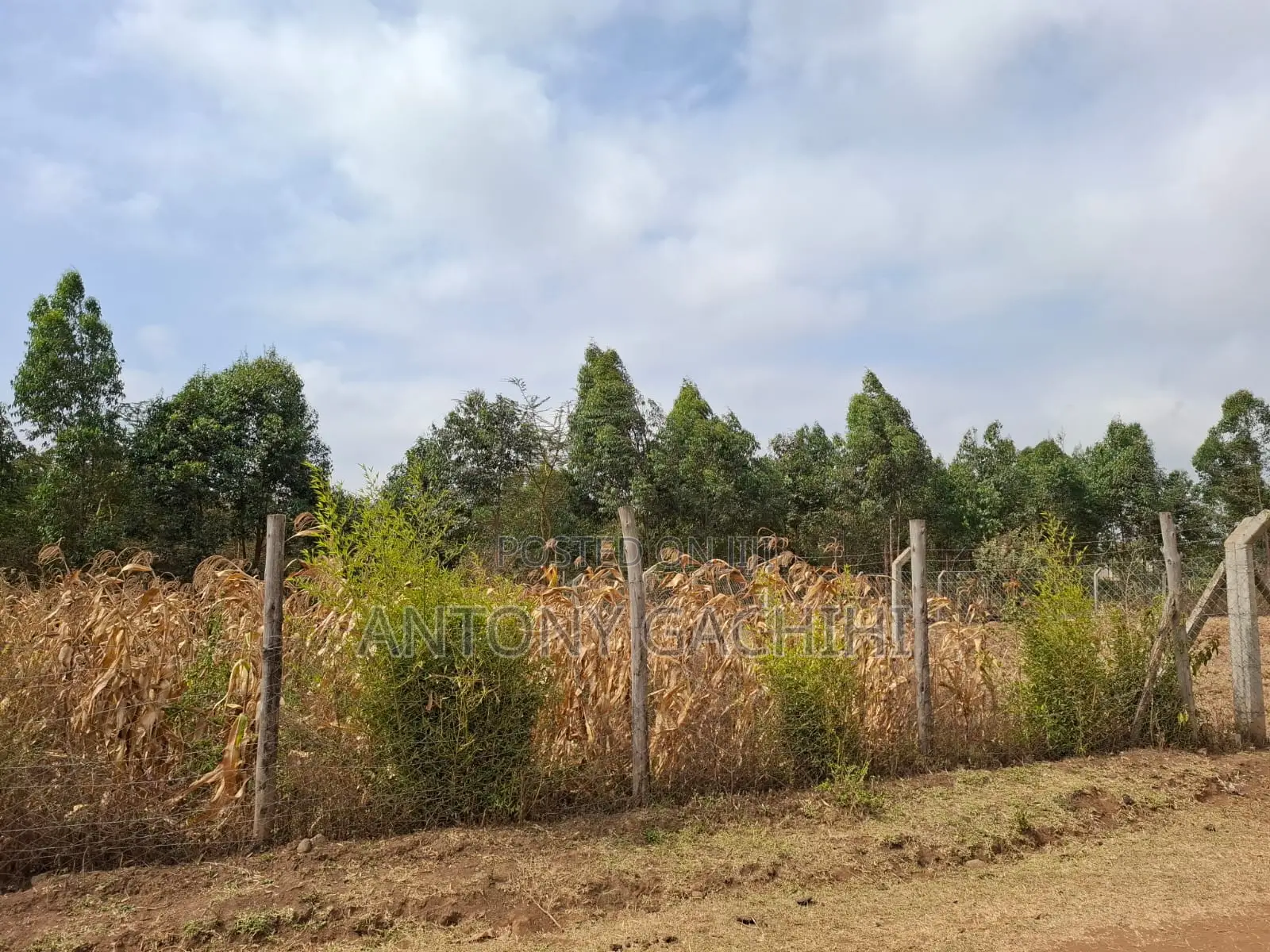 Land for Sale in Ndeiya