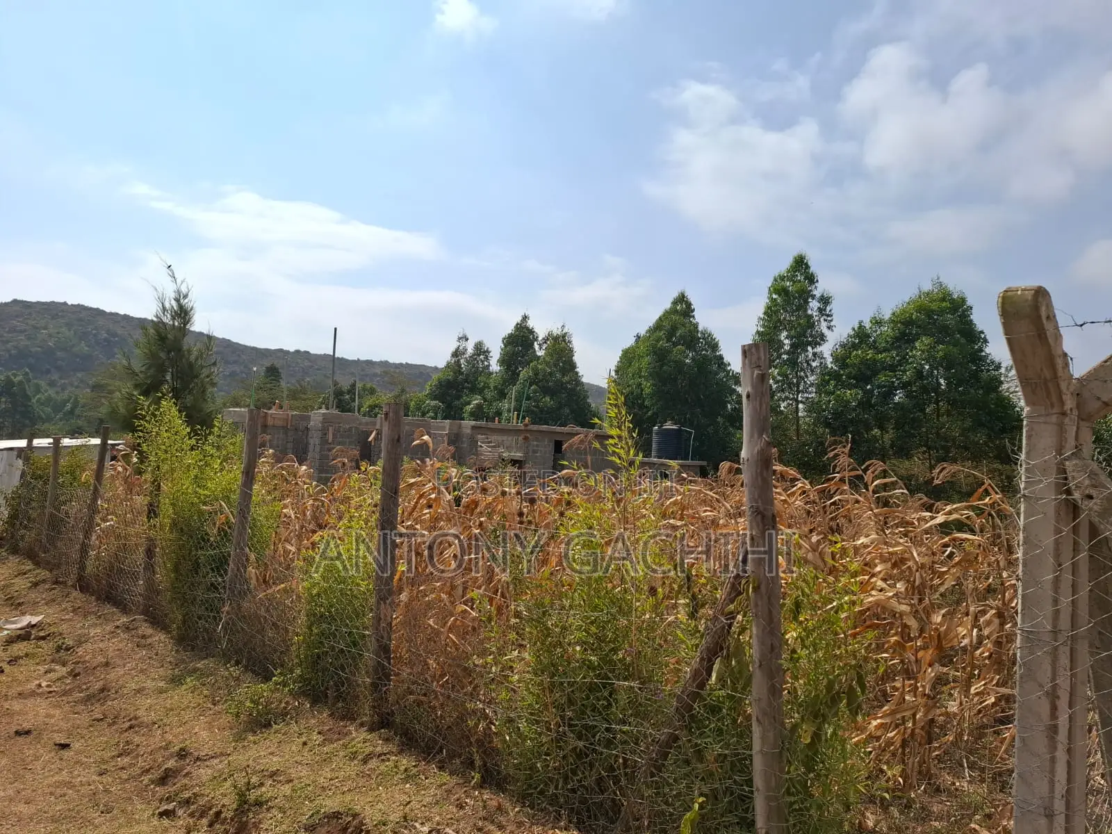 Land for Sale in Ndeiya