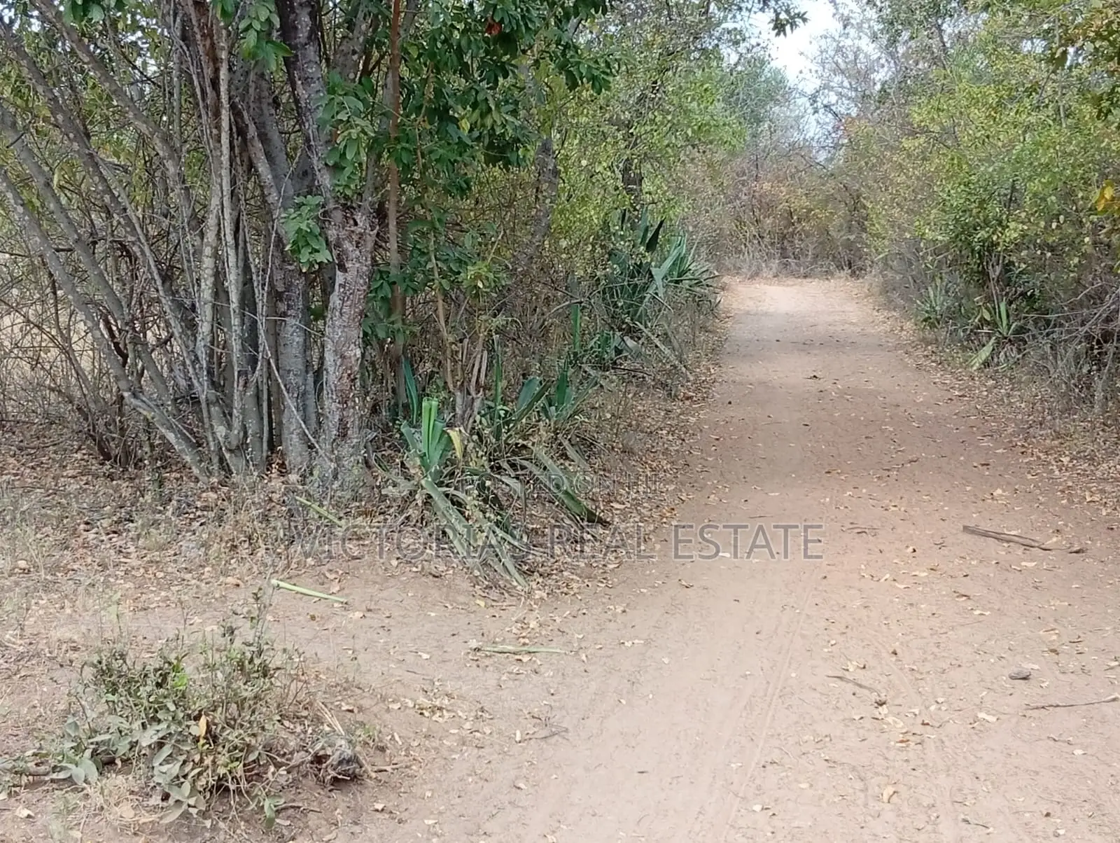 50×100 Plots for Sale in Vondeni, Kivaa KSh 350,000 in Kivaa