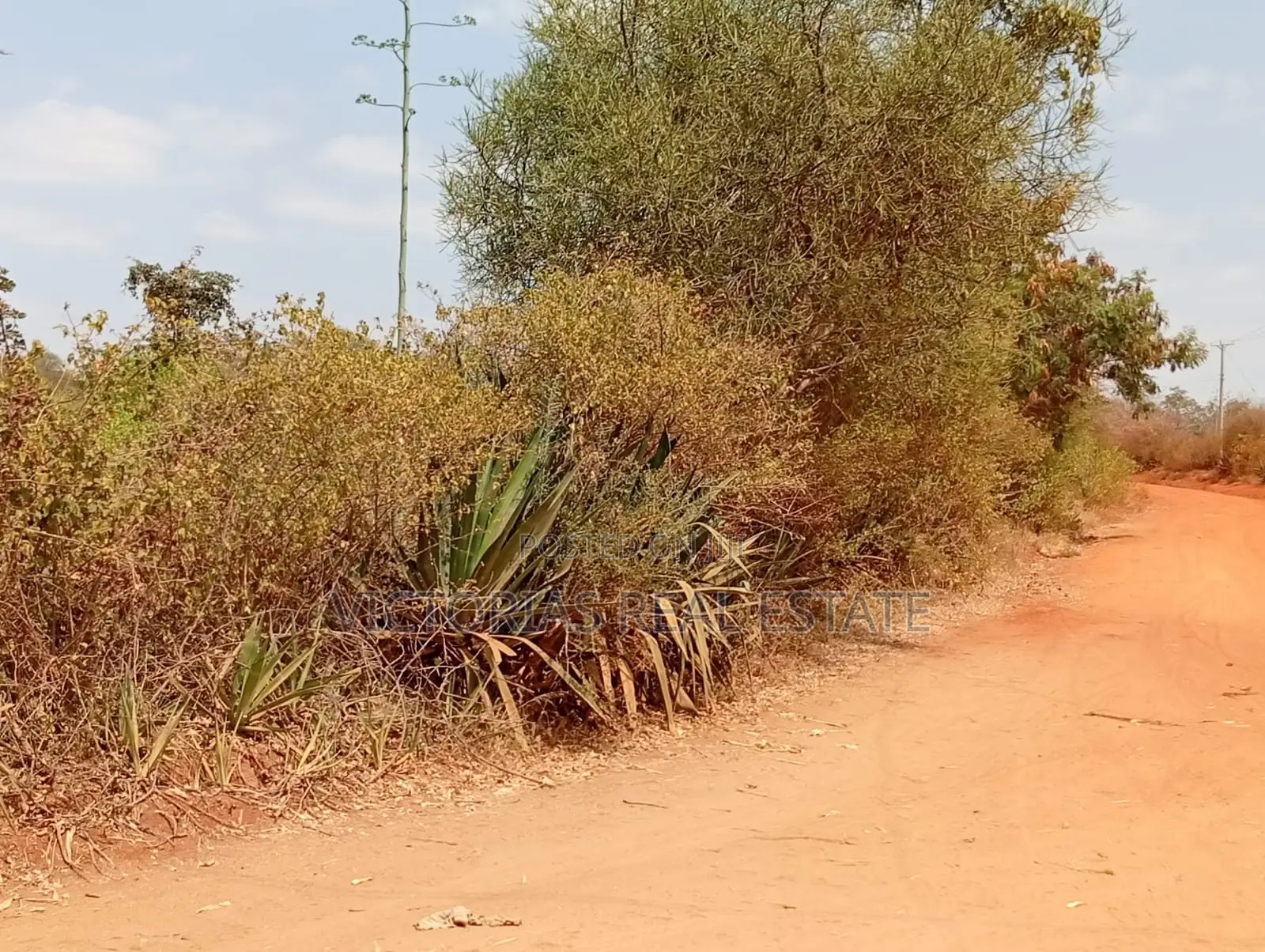 50×100 Plots for Sale in Vondeni, Kivaa KSh 350,000 in Kivaa