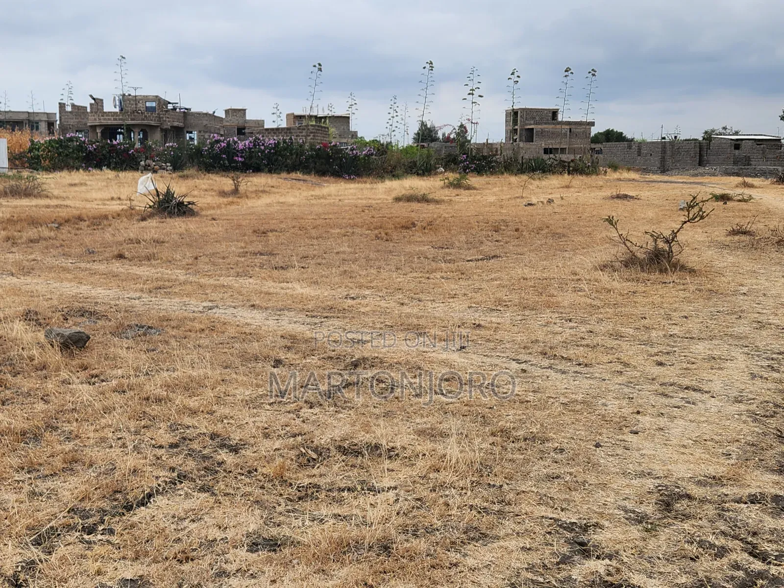 1/8 Acre Kalimoni Juja in Kalimoni