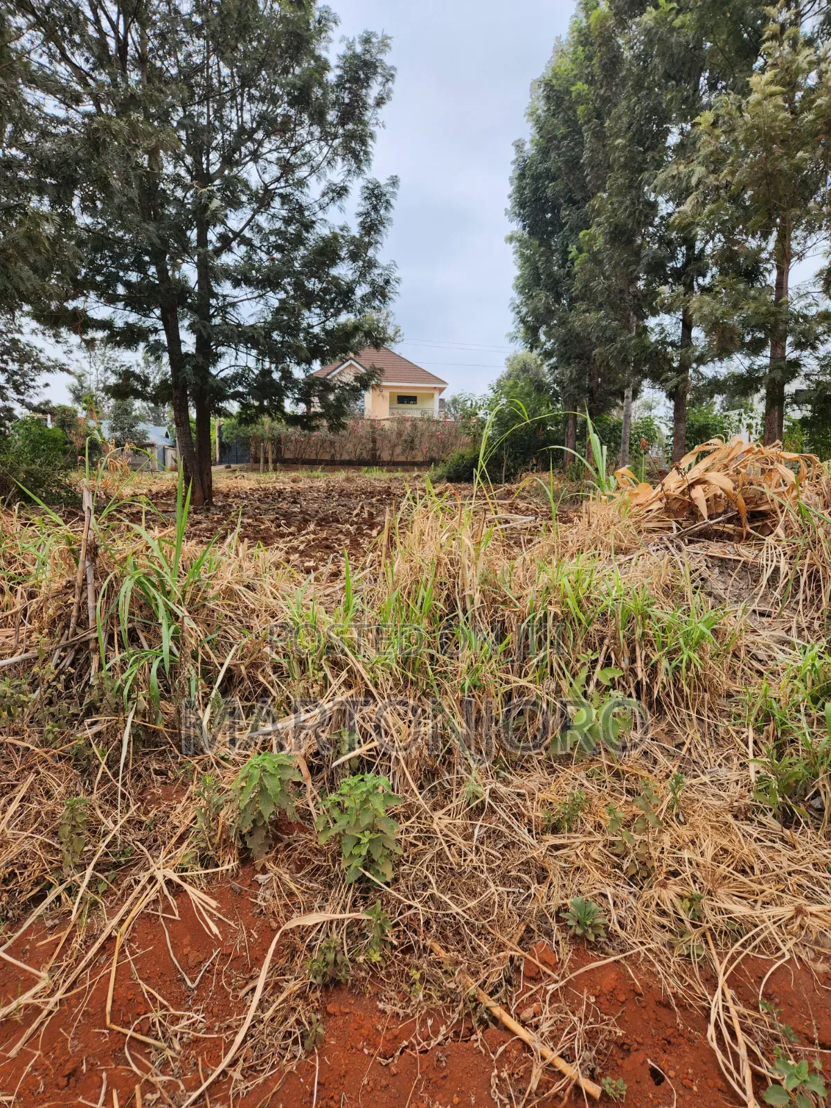Kenyatta Road 50by 100 Croton Ridge Estate in Kenyatta Road / Theta 
