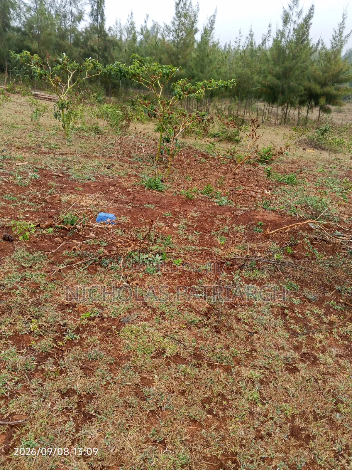 4 Acres Mua Hills Kitanga Selling at 7m Per Acre. in Mua Hills