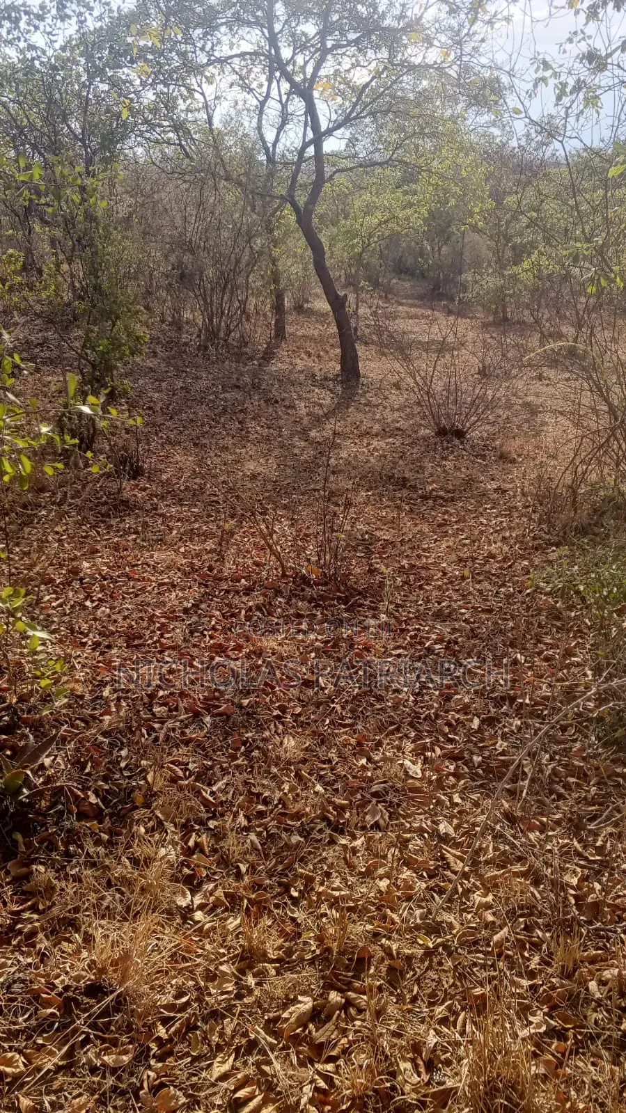 2 Acres Kyua -Machakos County Selling at Per Acre in Katangi