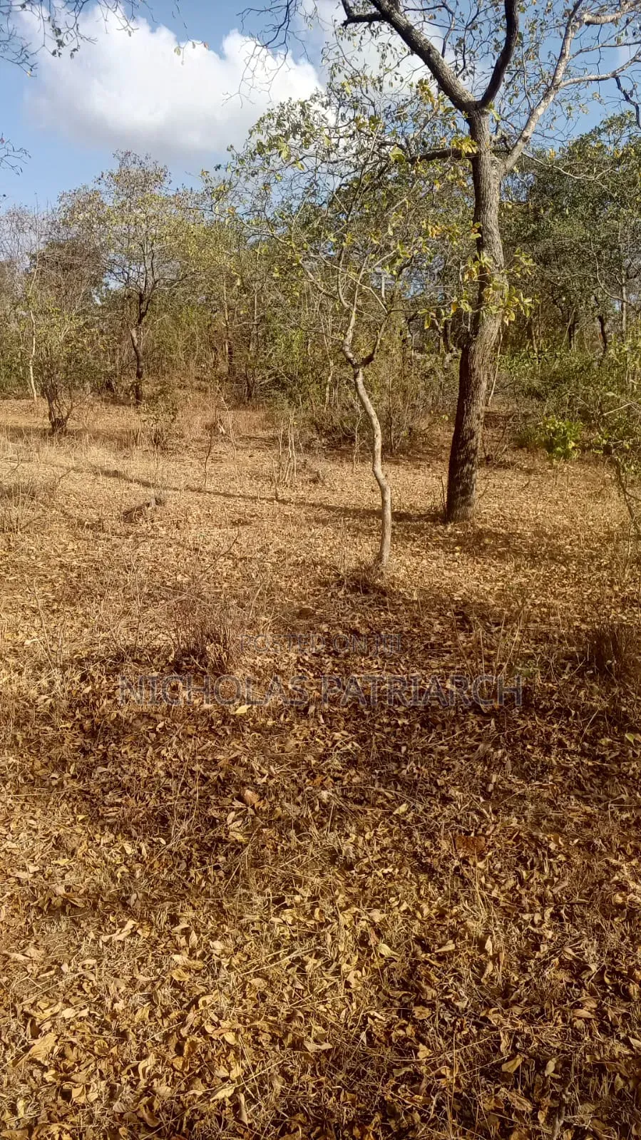 2 Acres Kyua -Machakos County Selling at Per Acre in Katangi