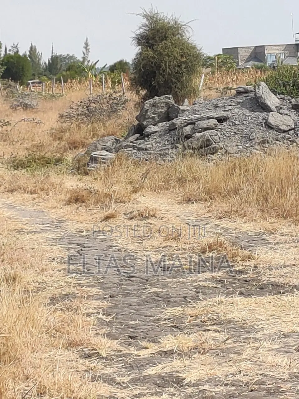 Malaa Plots in Muthwani