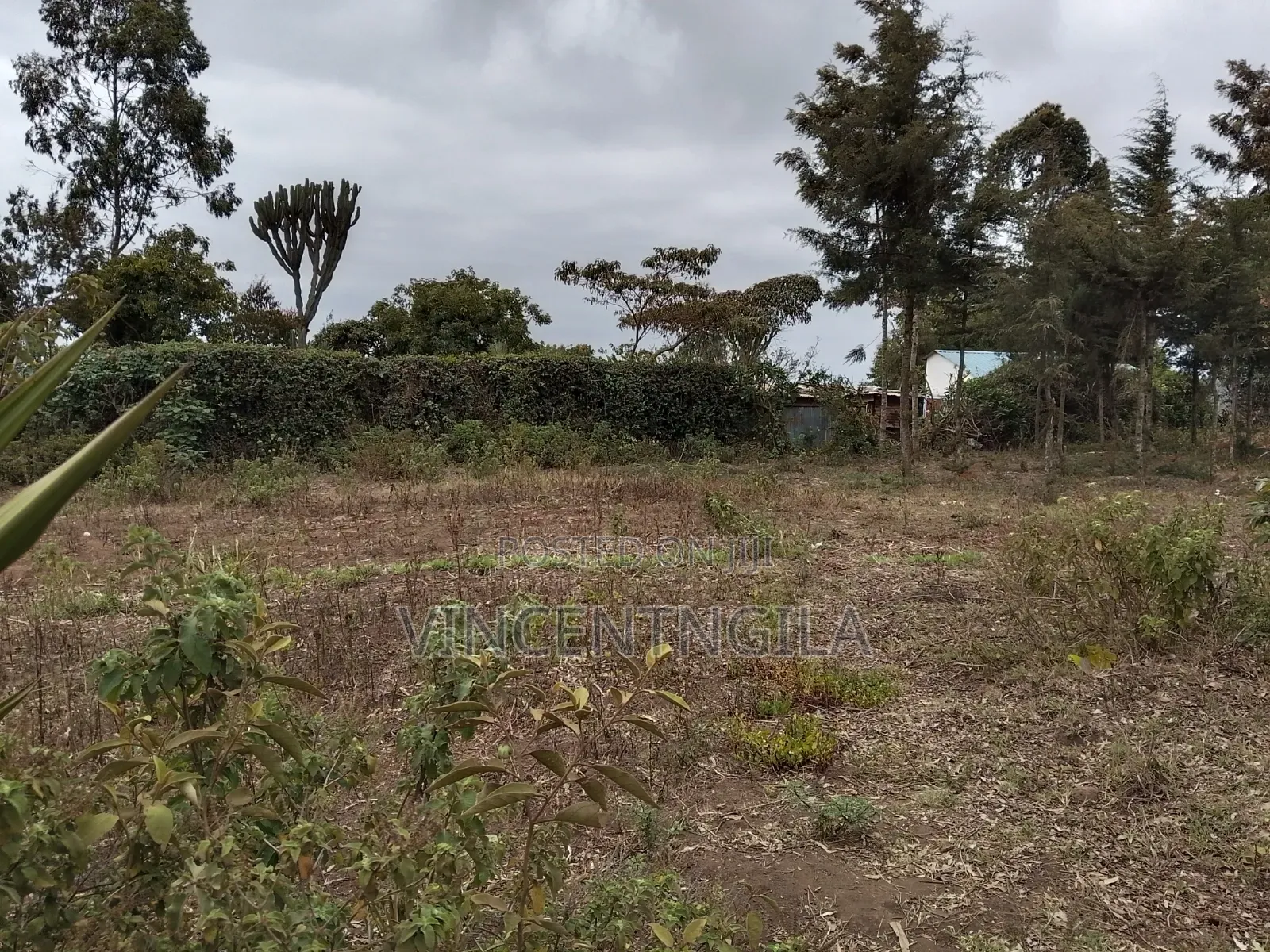 Land for Sale in Mua Hills