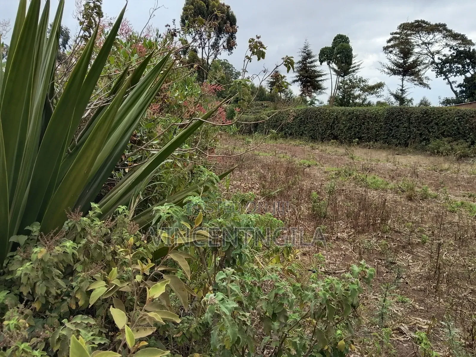 Land for Sale in Mua Hills