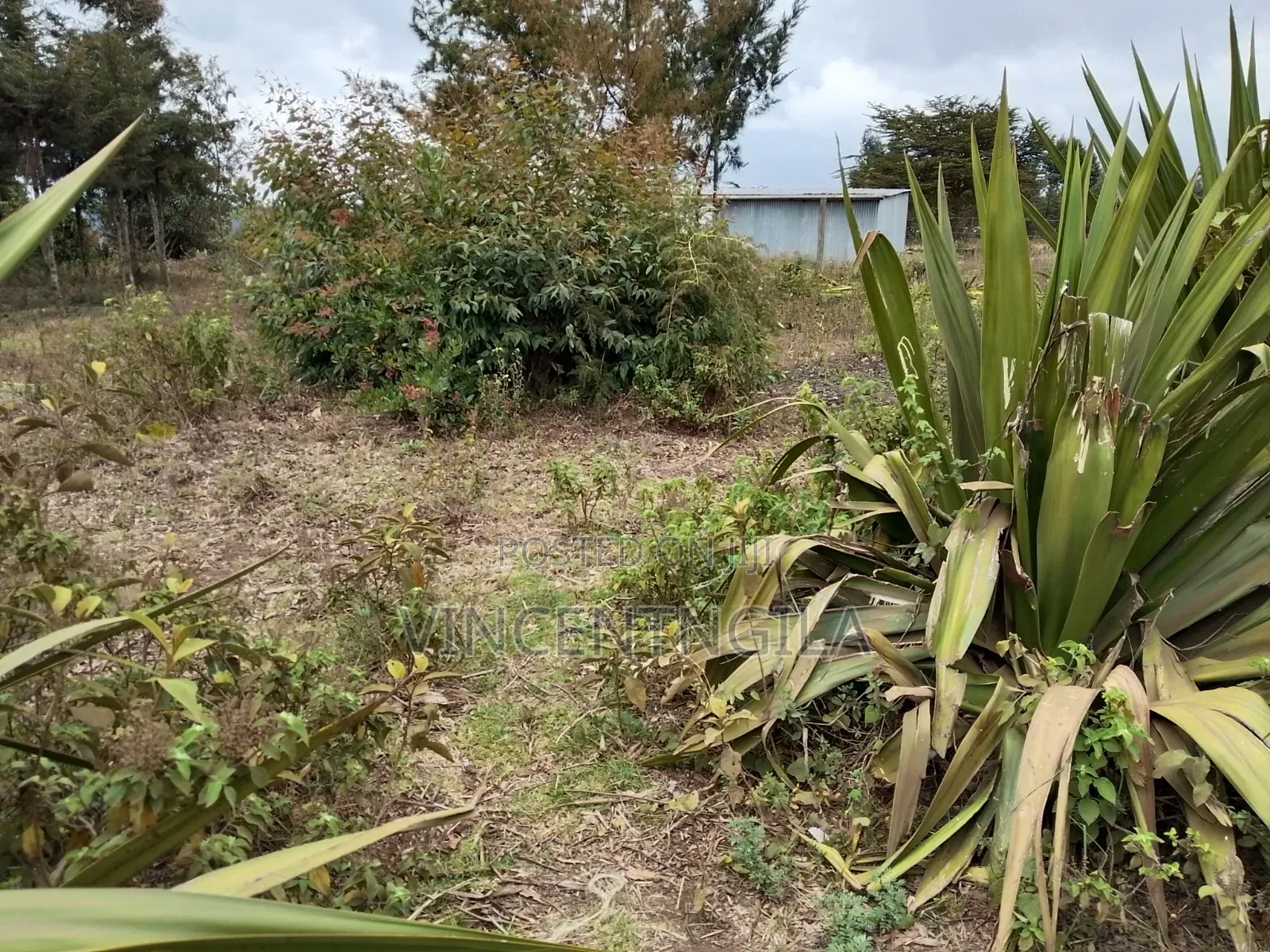 Land for Sale in Mua Hills