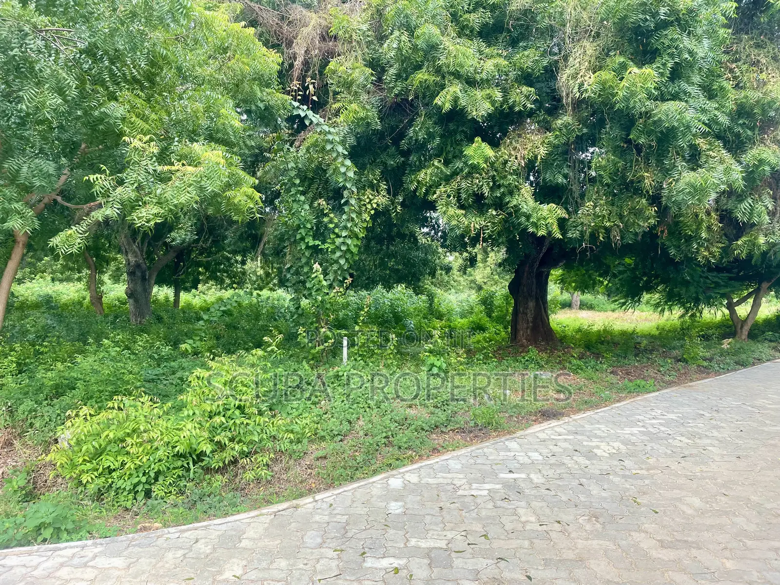 Prime 1/8-Acre Second Row Plots for Sale Casuarina,Malindi in Town Centre