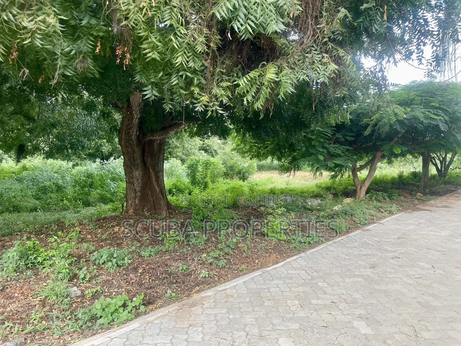 Prime 1/8-Acre Second Row Plots for Sale Casuarina,Malindi in Town Centre
