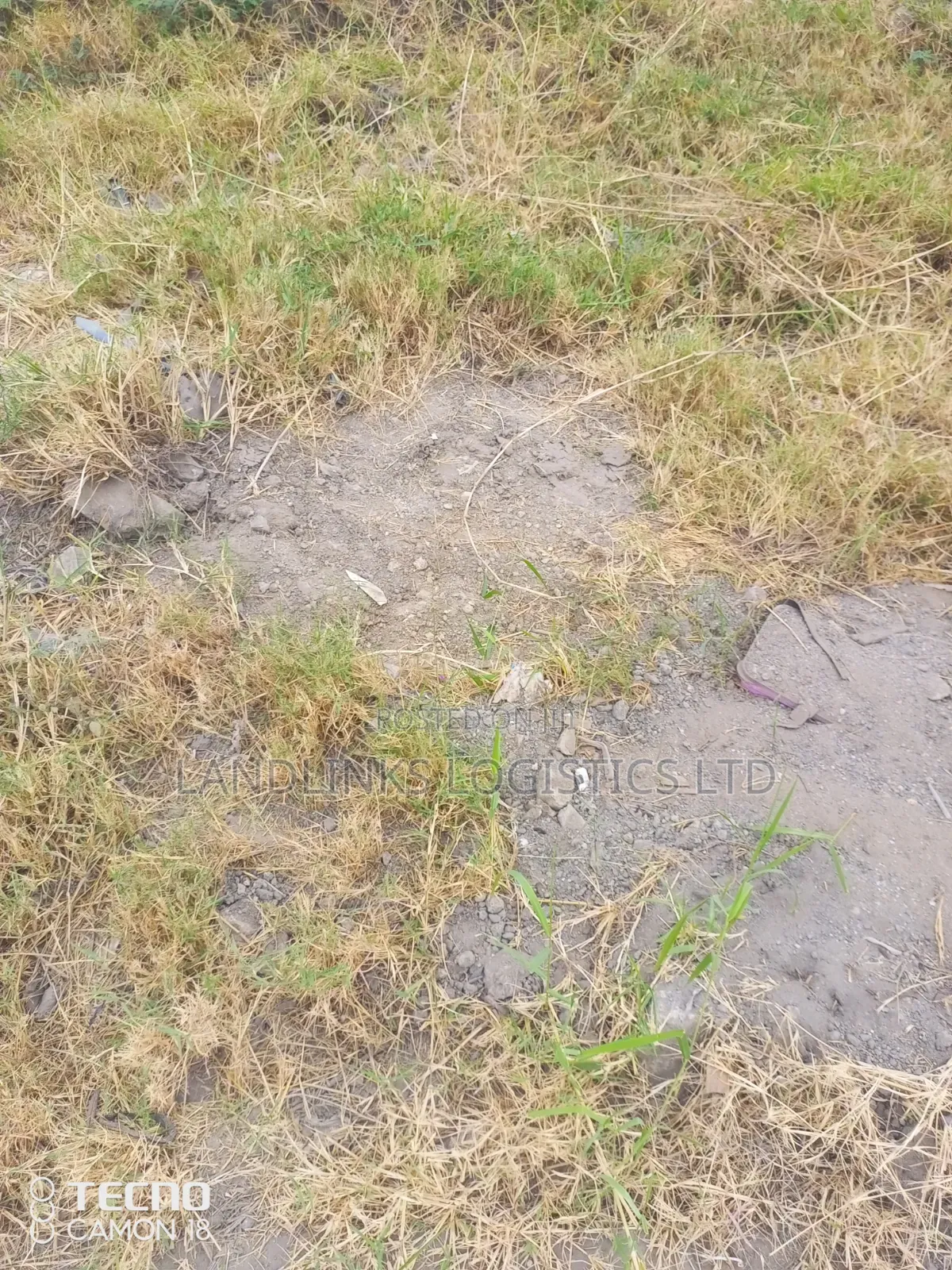 Kitengela Milimani Kathonzwe Court 100 * 100 Residential in Kitengela