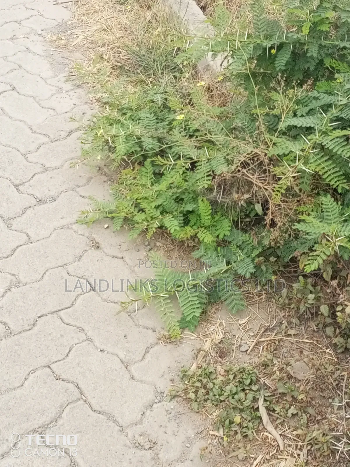 Mua Hills Area Different Parcels of Land 1 , 2, to 5 Acres for Home in Mua Hills