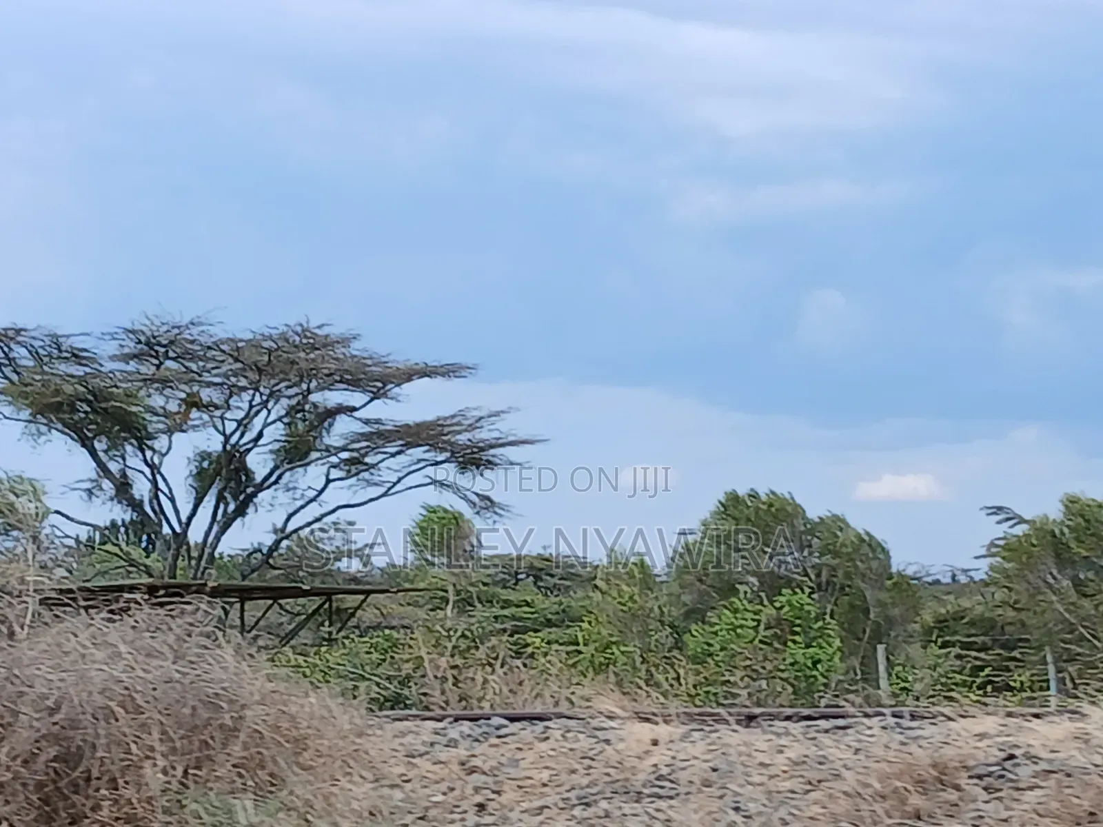 3.5 Acreas Near Mt Kenya Golf Club and Holiday Home in Nanyuki