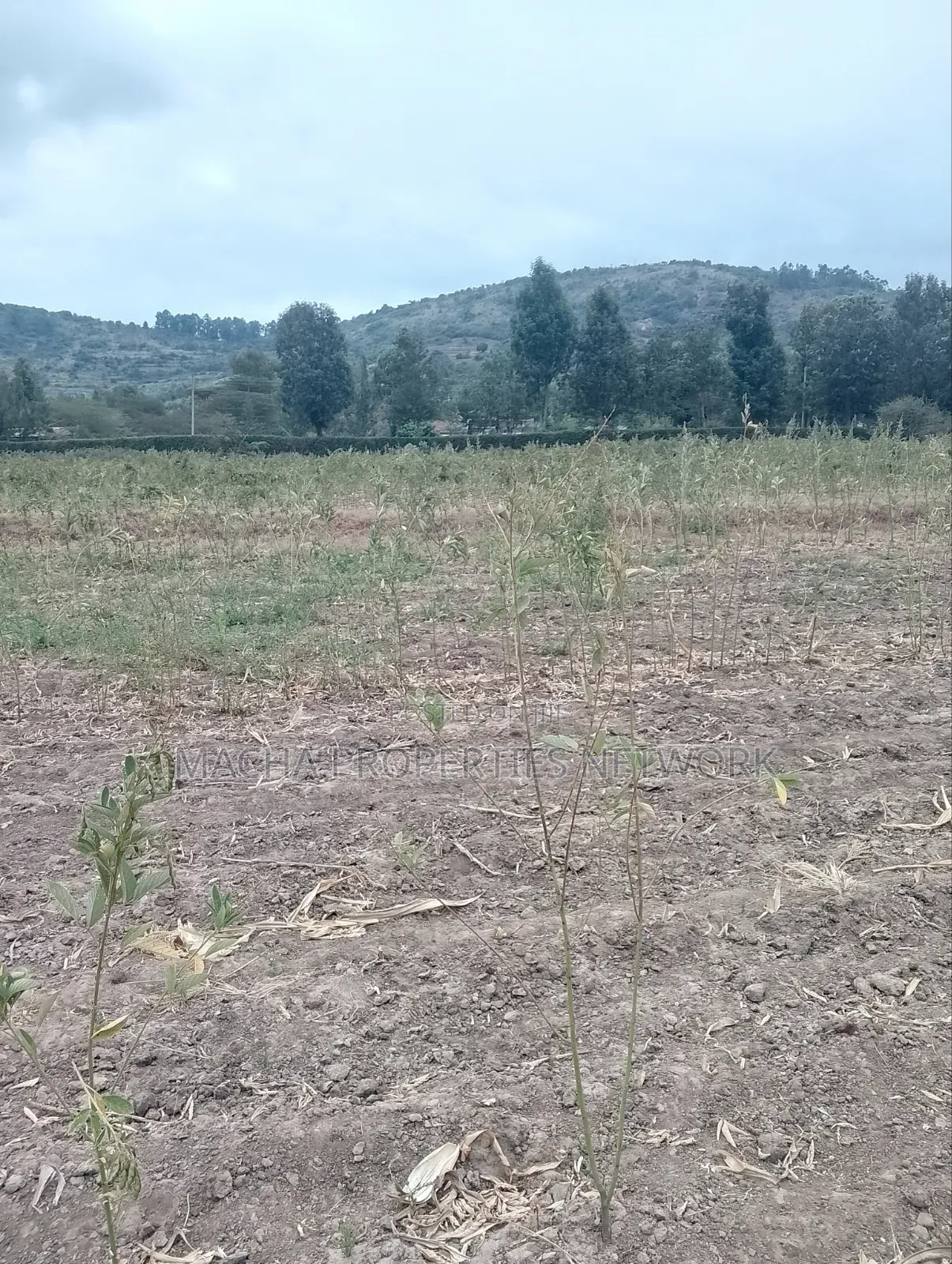 3 Acres Machakos-Mutituni Slopes of Mua Hills in Mutituni