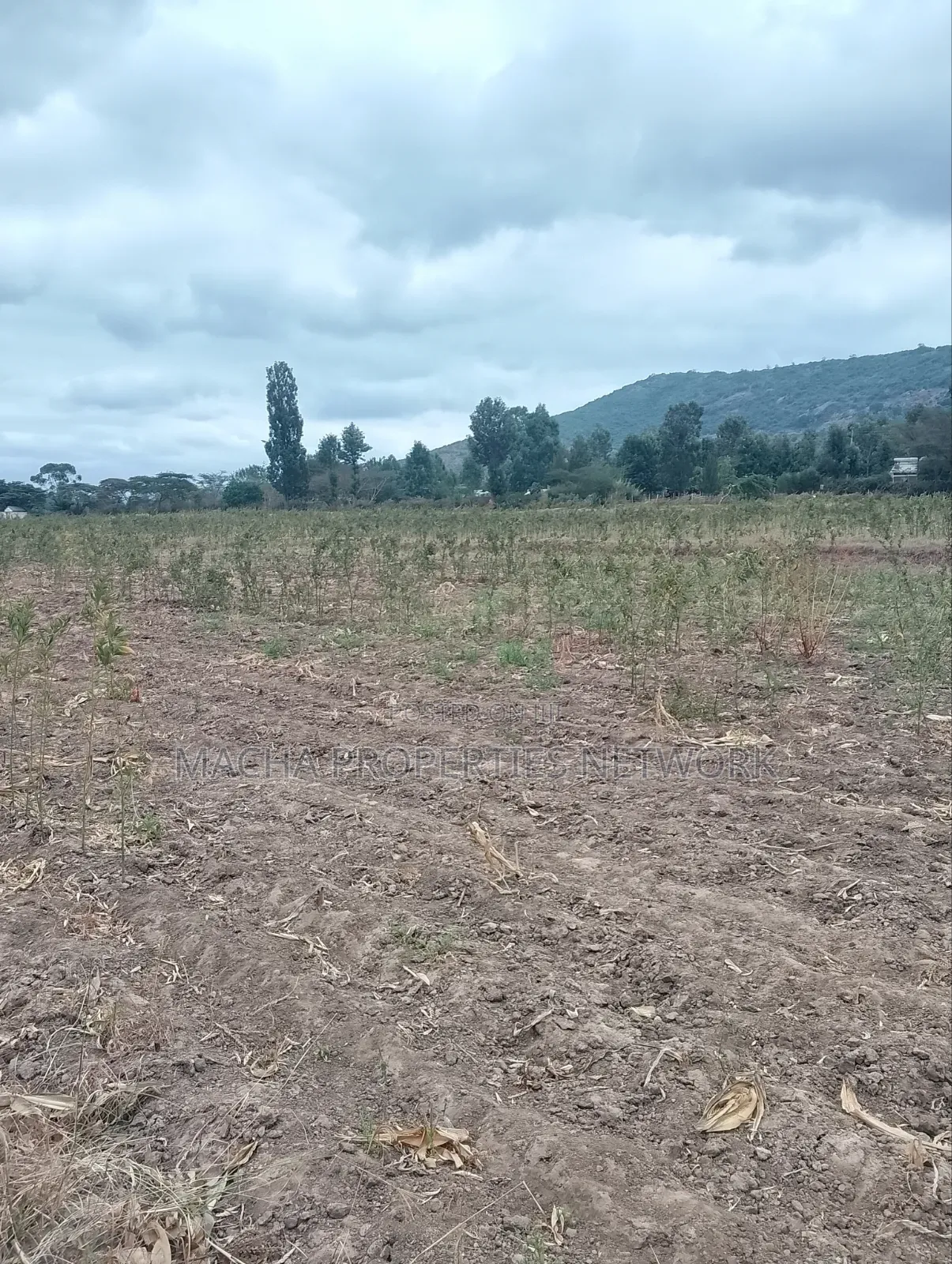 3 Acres Machakos-Mutituni Slopes of Mua Hills in Mutituni