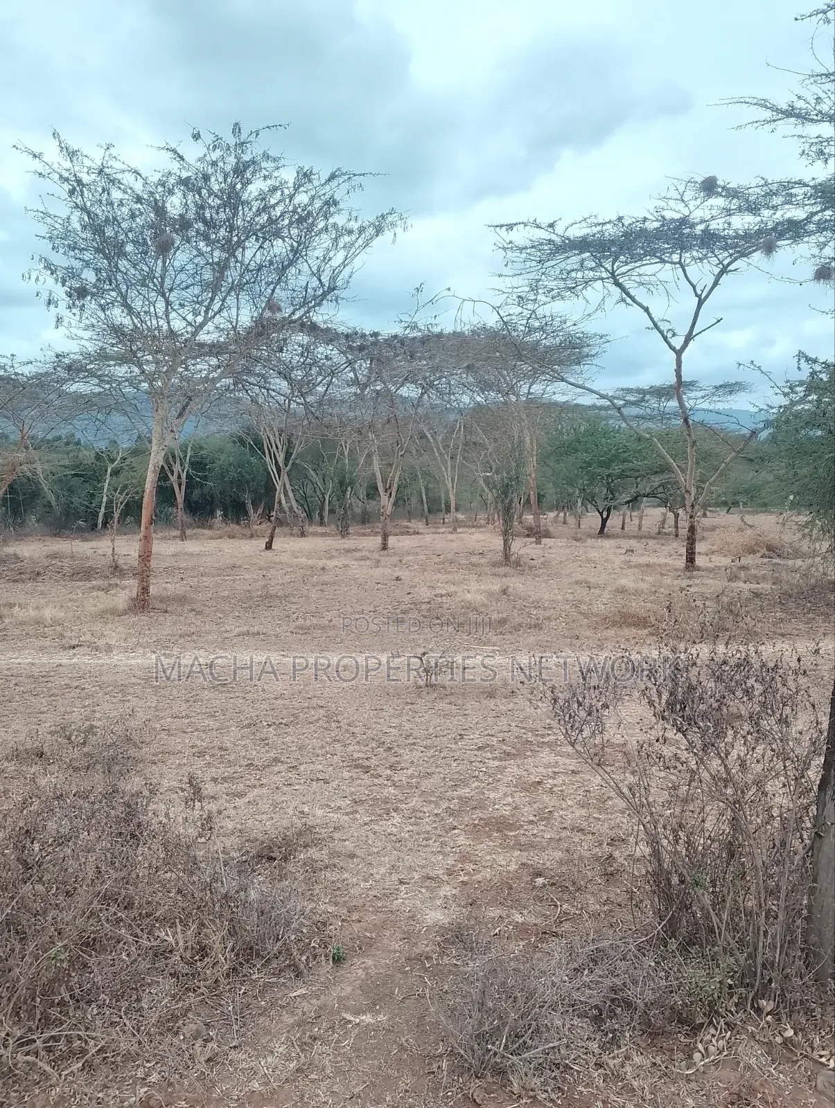 3 Acres Machakos-Mutituni Slopes of Mua Hills in Mutituni