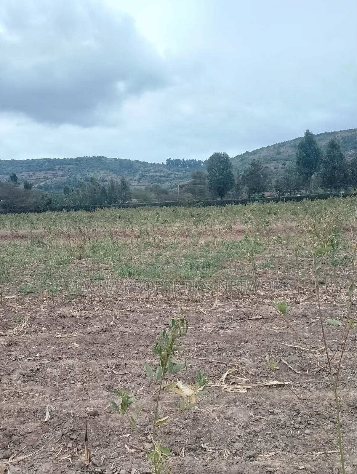 3 Acres Machakos-Mutituni Slopes of Mua Hills in Mutituni