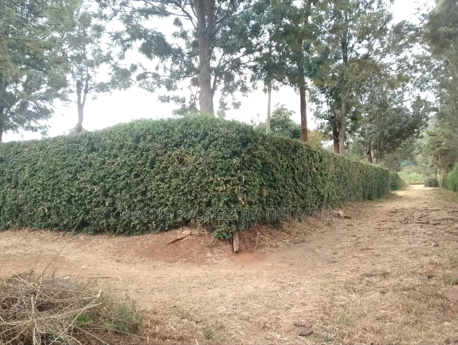 3 Acres Machakos-Mutituni Slopes of Mua Hills in Mutituni