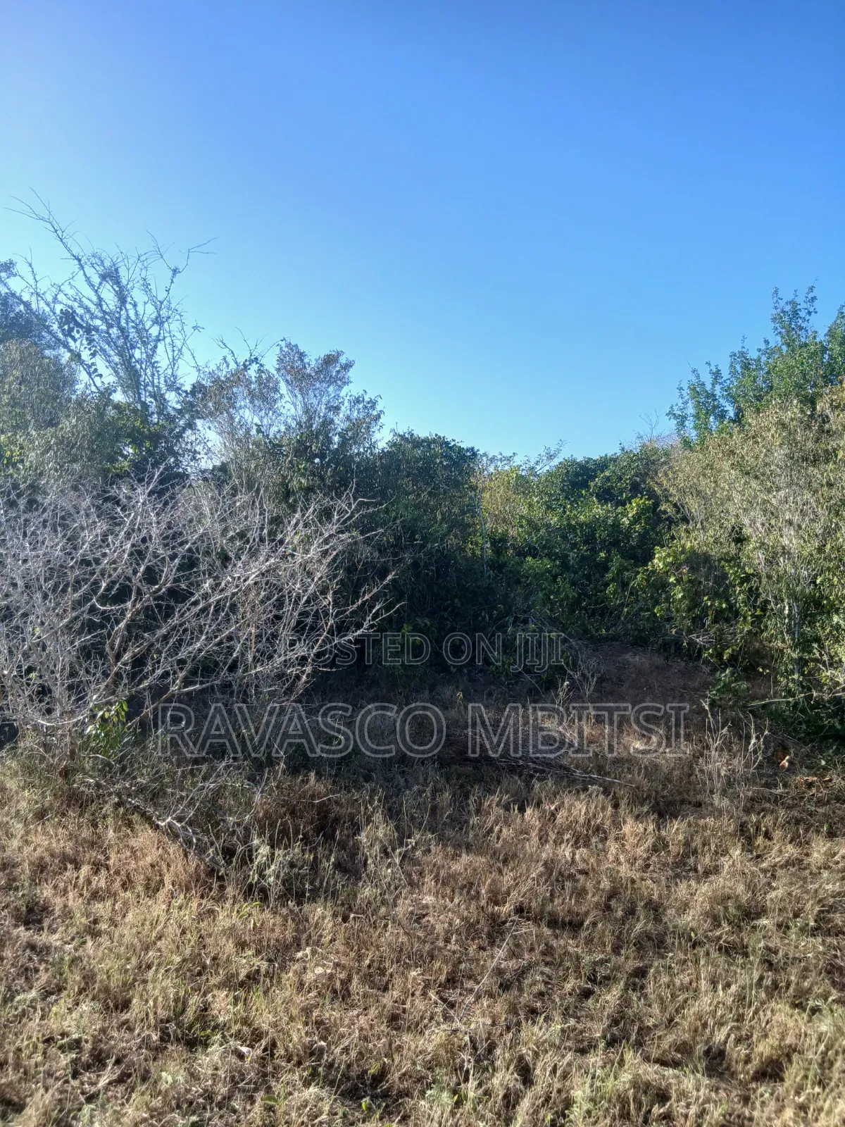 12 Acres Forsale in Malindi Marafa Matopeni Good for Farming in Marafa