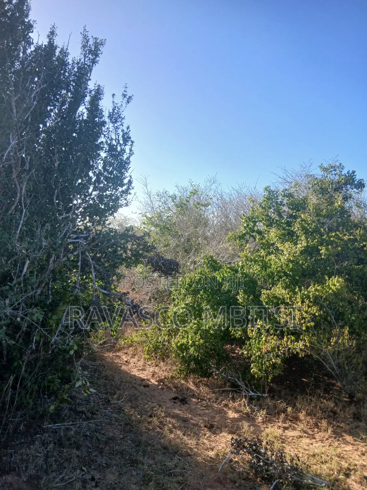 12 Acres Forsale in Malindi Marafa Matopeni Good for Farming in Marafa